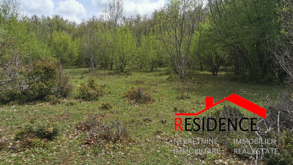 Land, 32290 m2, For Sale, Bale