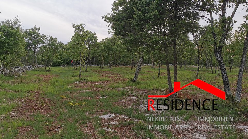Land, 3773 m2, For Sale, Bale
