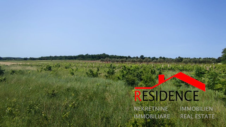Land, 2449 m2, For Sale, Ližnjan - Šišan