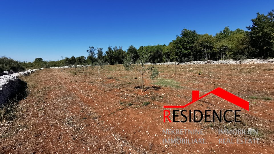 Land, 5490 m2, For Sale, Bale