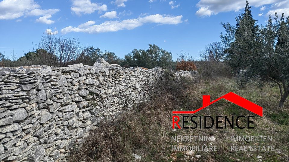 Vodnjan-Majmajola, ein Olivenhain mit einer Ruine und einem Kažun