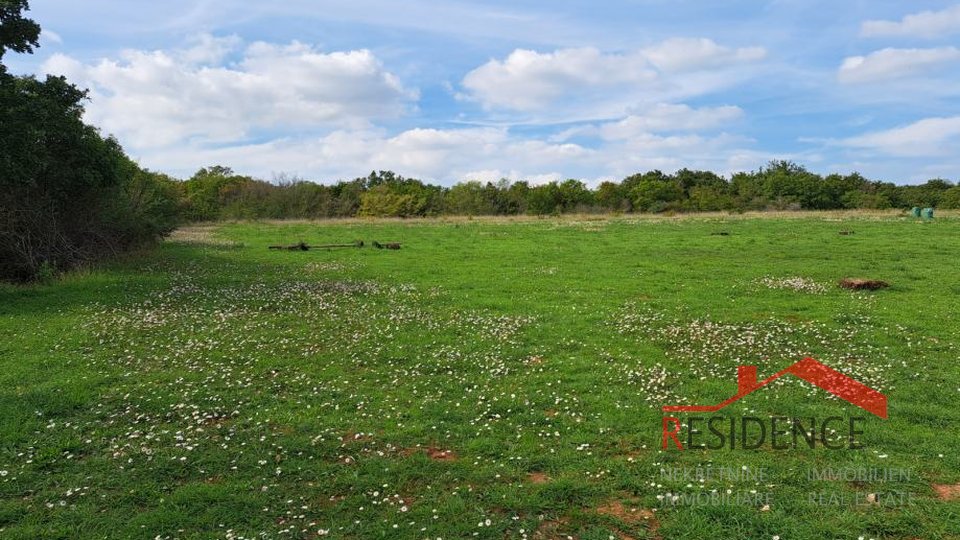Marčana, agricultural land in a nice location