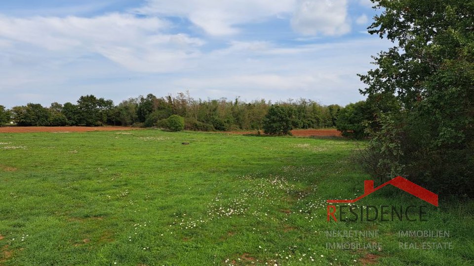 Marčana, agricultural land in a nice location