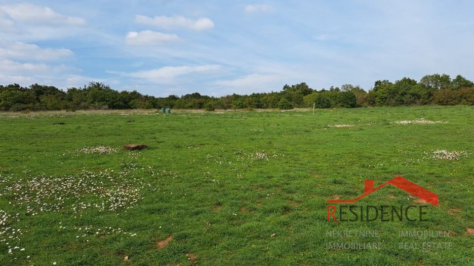 Marčana, agricultural land in a nice location