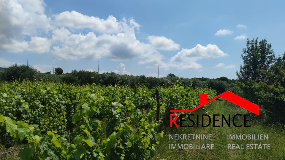 Land, 6680 m2, For Sale, Pula - Monteserpo-Komunal