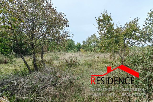 Land, 7949 m2, For Sale, Vodnjan - Gajana