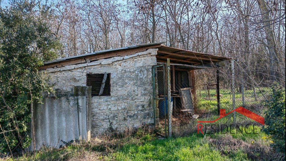 Banjole, landwirtschaftliches Land mit Olivenhain und Wasser