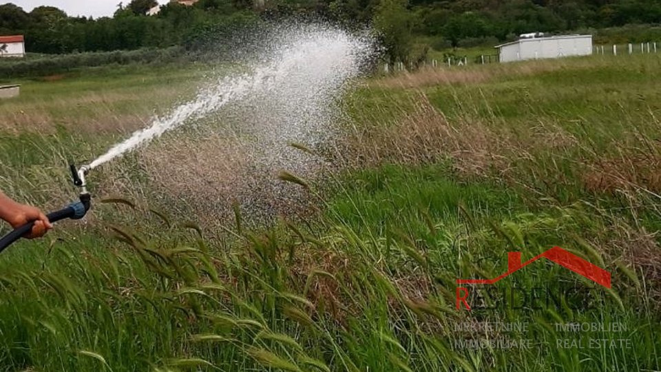 Banjole, agricultural land with olive grove and water