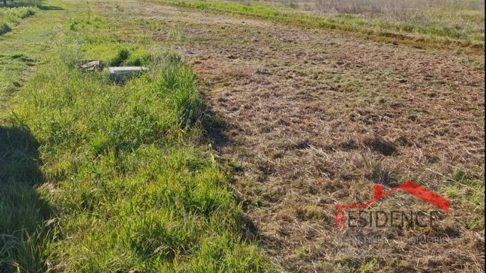 Banjole, agricultural land with olive grove and water