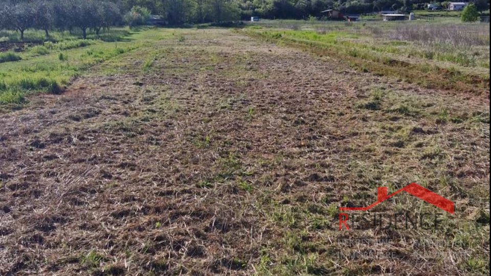 Banjole, agricultural land with olive grove and water