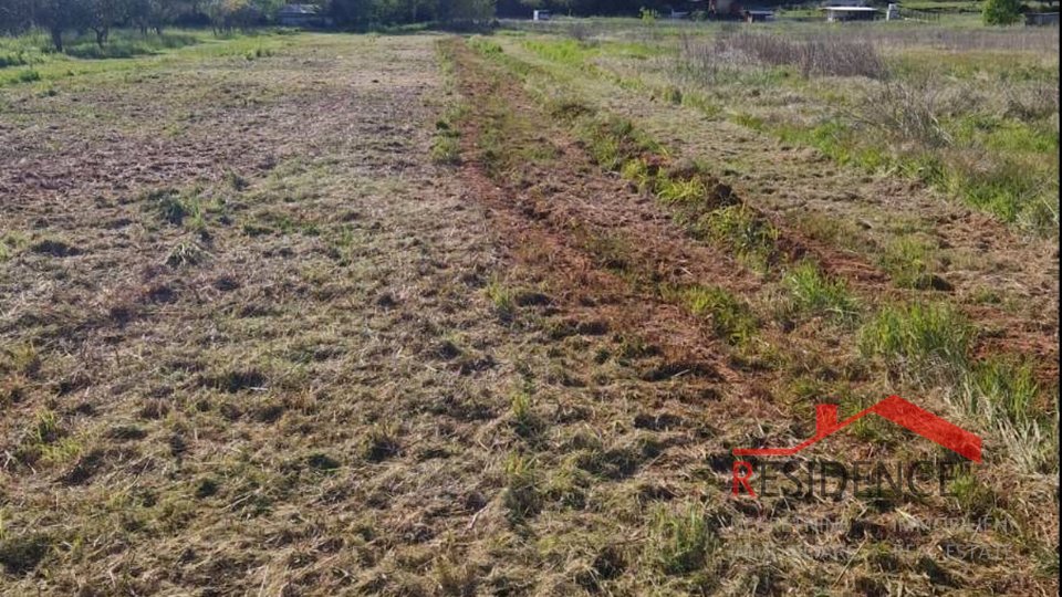 Banjole, agricultural land with olive grove and water