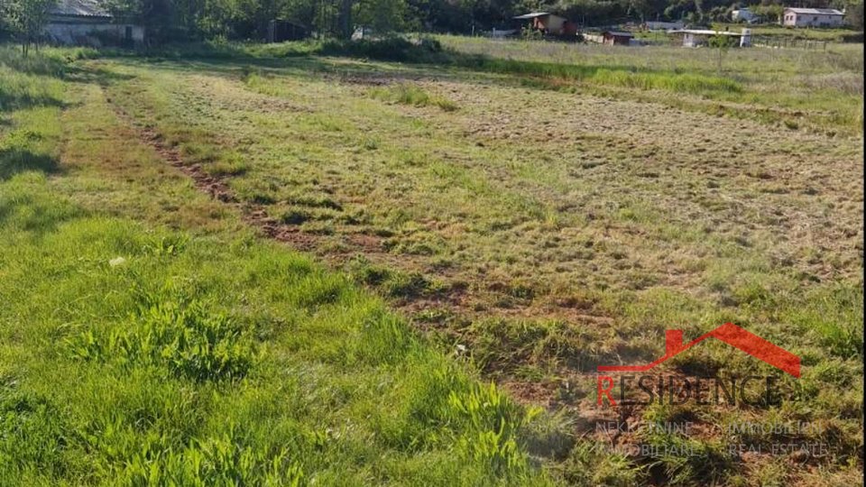 Banjole, agricultural land with olive grove and water