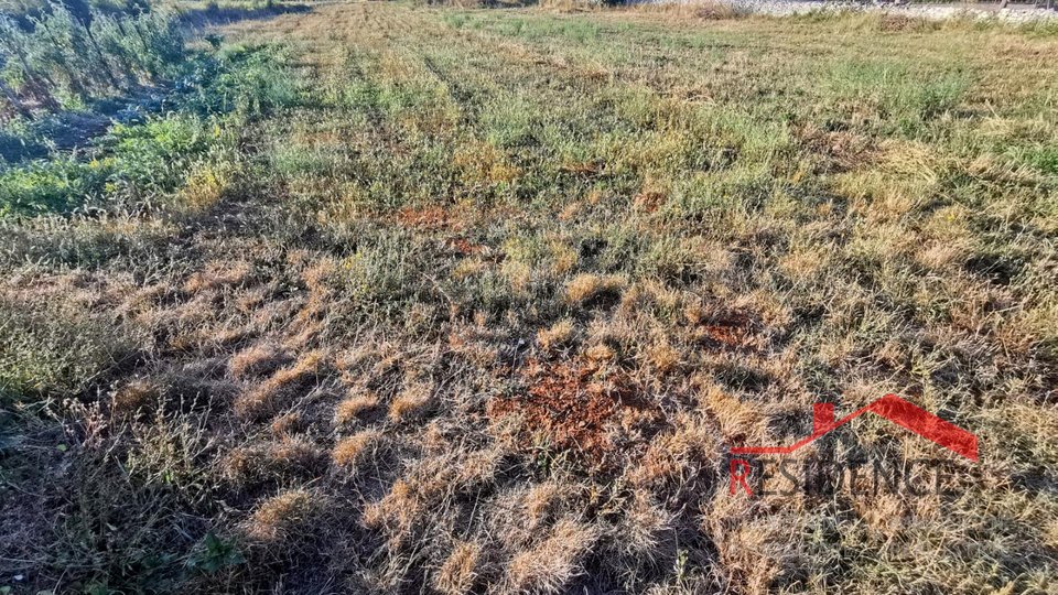 Land, 1000 m2, For Sale, Barban - Šajini