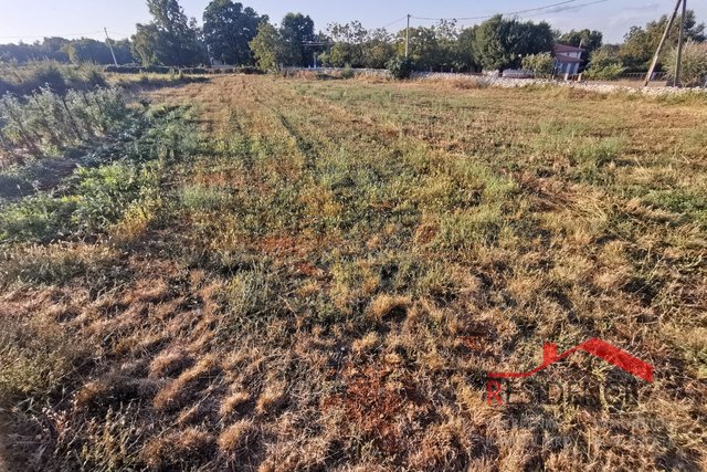 Šajini, building plot