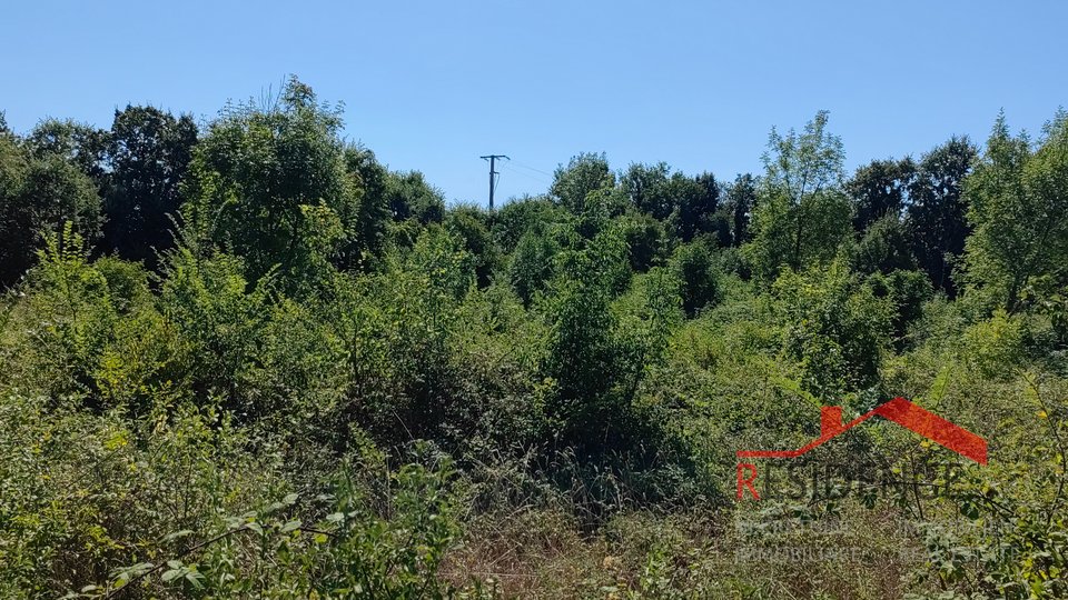 Šegotići, building and agricultural land in one piece