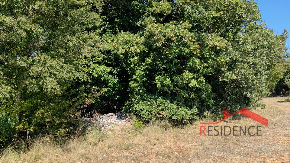 Šegotići, building and agricultural land in one piece