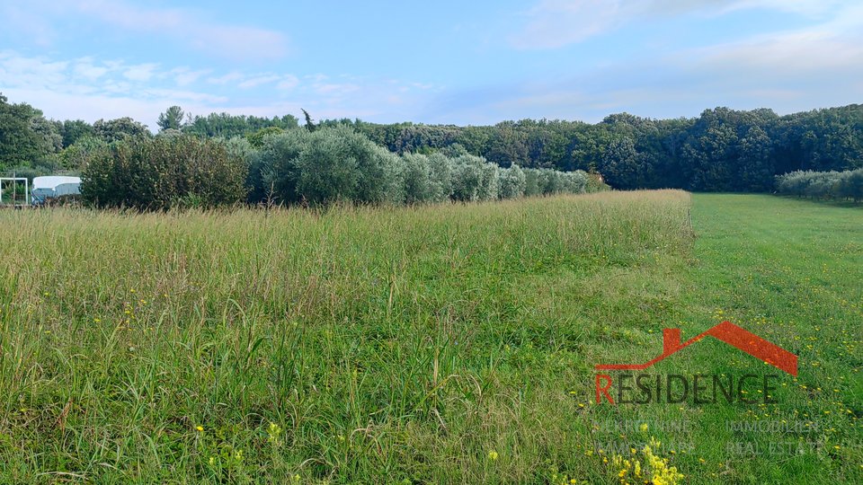 TERRENO AGRICOLO A BANJOLE