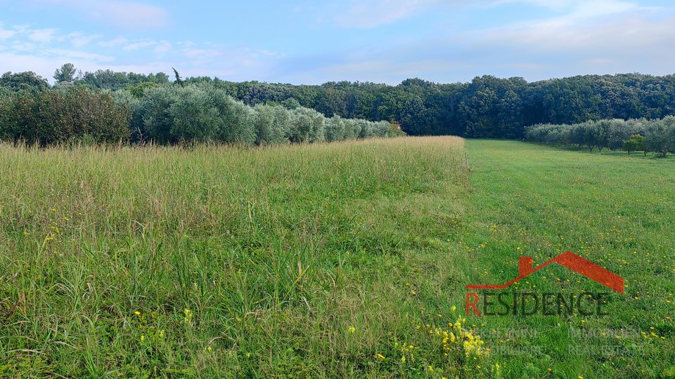 AGRICULTURAL LAND IN BANJOLE