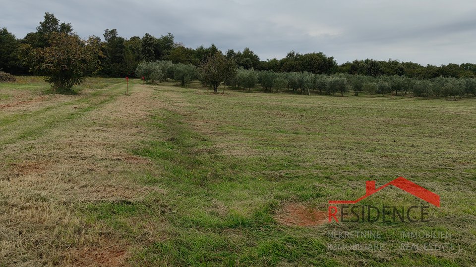 Land, 797 m2, For Sale, Ližnjan - Šišan