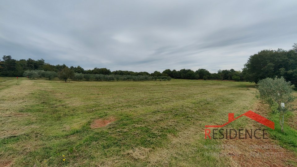 Land, 797 m2, For Sale, Ližnjan - Šišan