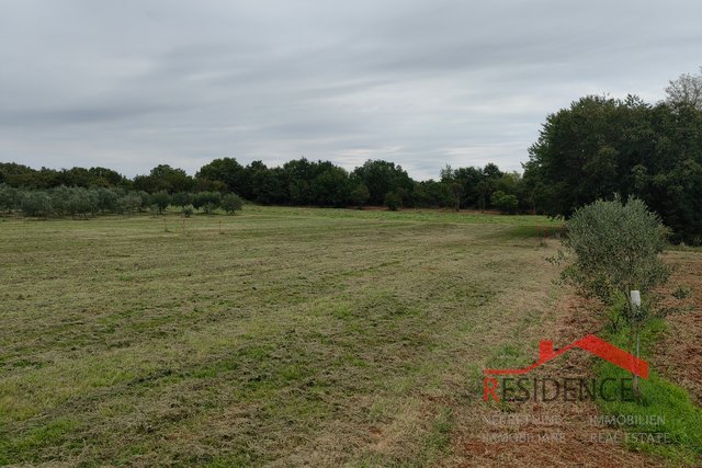 Land, 890 m2, For Sale, Ližnjan - Šišan