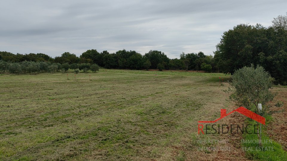 Land, 890 m2, For Sale, Ližnjan - Šišan