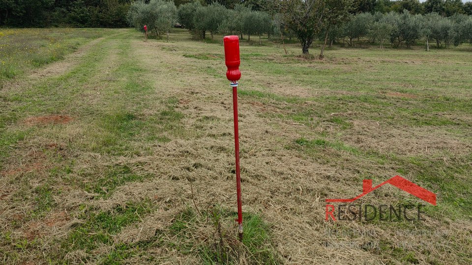 Zemljišče, 890 m2, Prodaja, Ližnjan - Šišan