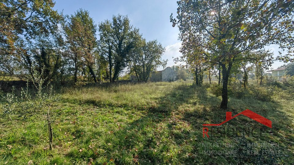 CUKRIĆI, STARA KAMENA KUĆA ZA OBNOVU SA VELIKOM OKUĆNICOM