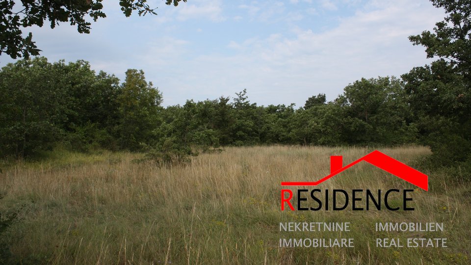 Land, 3602 m2, For Sale, Vodnjan