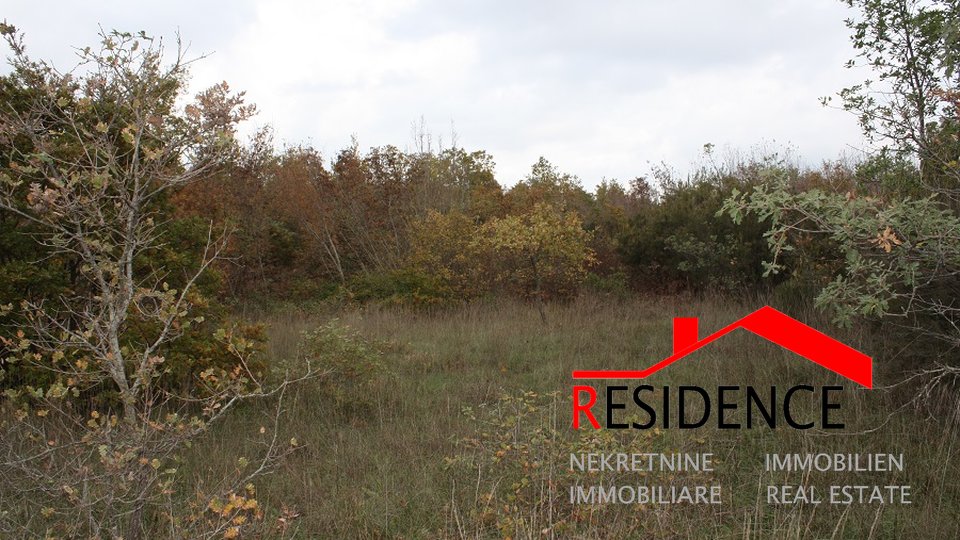 Land, 67342 m2, For Sale, Krnica