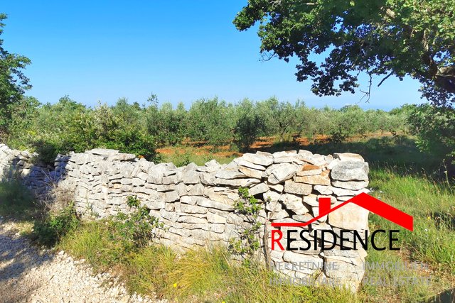 Land, 11400 m2, For Sale, Bale